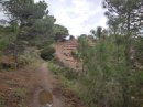 Littoral entre Banyuls et Cap Castell